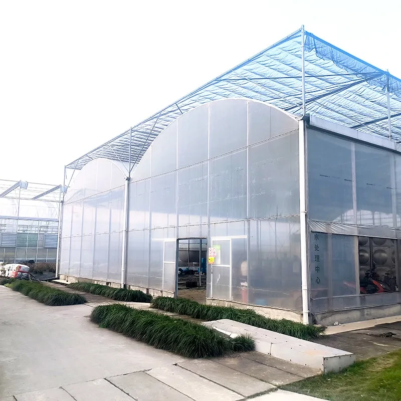 Estufa inteligente de tomate com película plástica UV para agricultura 1