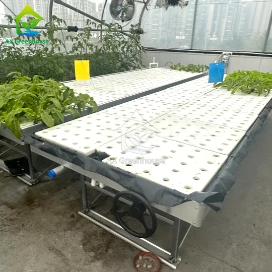 Banco rodante Ebb&amp;Flow, tablero flotante DWC, cultivo en aguas profundas, invernadero, cultivo de hortalizas sin suelo 1