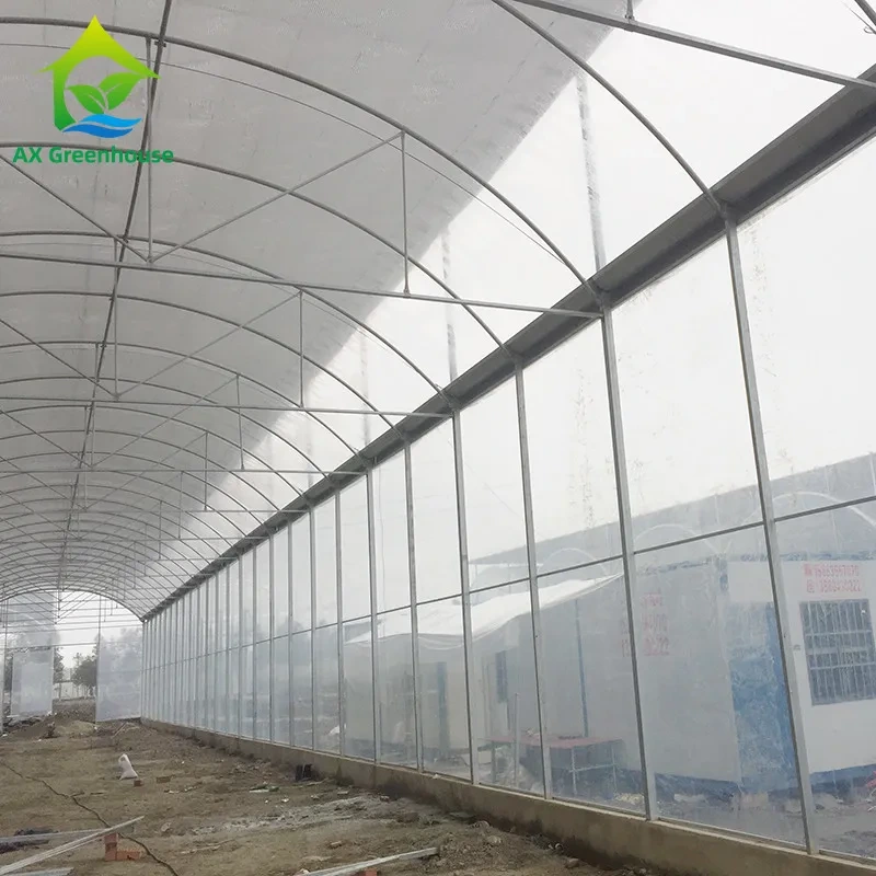 Single Span Commercial Polytunnel Plastic Film Greenhouse Farming 1