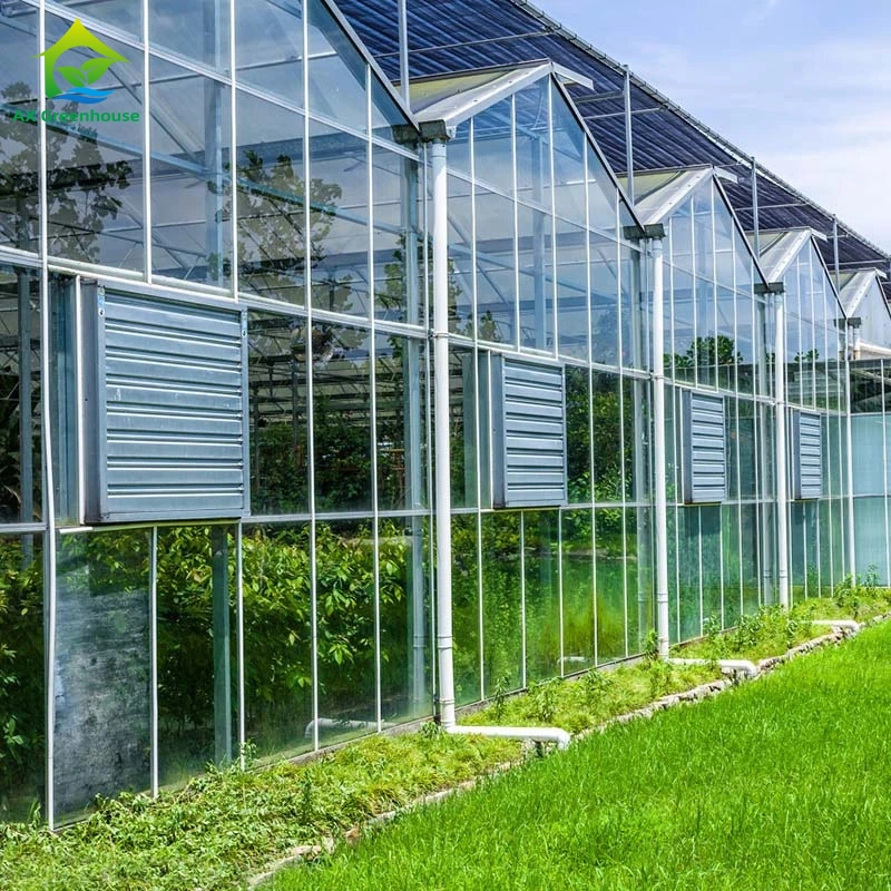 Custom Wind Resistant Venlo Commercial Glass Greenhouse for Crops 1