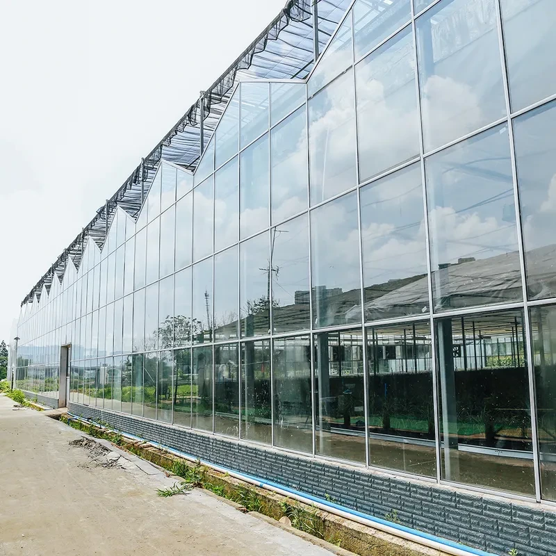 Invernadero de vidrio multicapa para cultivo de flores, tipo Venlo, para horticultura y agricultura 1