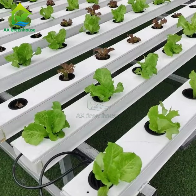 Super Farm Hydroponic Horizontal NFT Growing System Soilless Leafy ...
