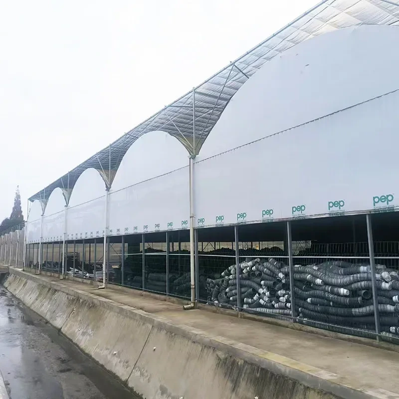 Invernadero de película de sombra negra multicapa con privación de luz inteligente 1