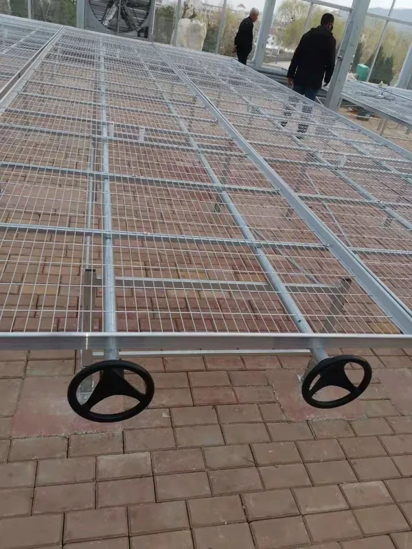 Semilleros móviles para facilitar el movimiento y aumentar el rendimiento de los cultivos 1