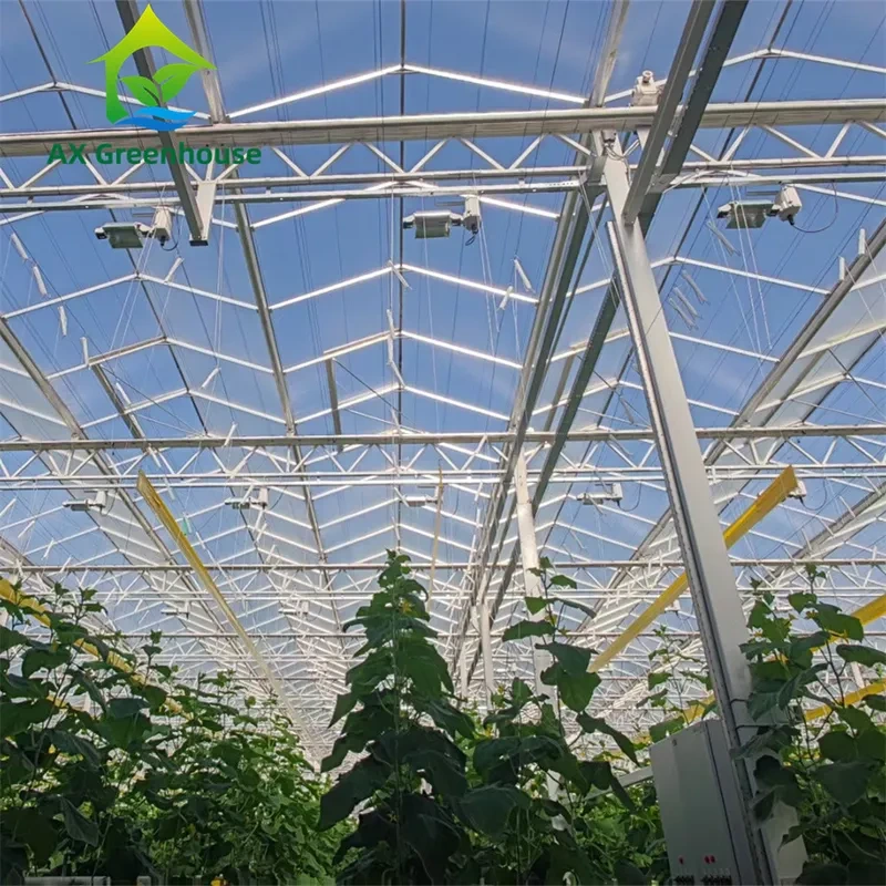 Serre commerciale multi-travées Venlo en verre avec structure en acier galvanisé à chaud et moulure de toit triangulaire 1