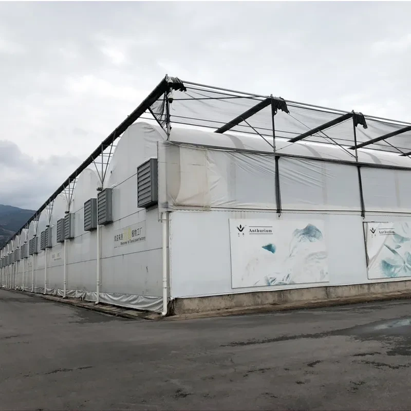 Invernadero de invernadero tropical de película blanca y negra con túnel de polietileno multicapa para plántulas 1