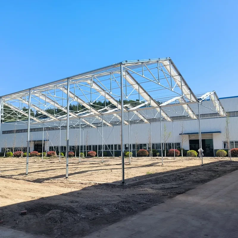دفيئة زراعية تجارية كبيرة الحجم ذات سقف قابل للسحب آليًا ومغطاة بغشاء بلاستيكي 1