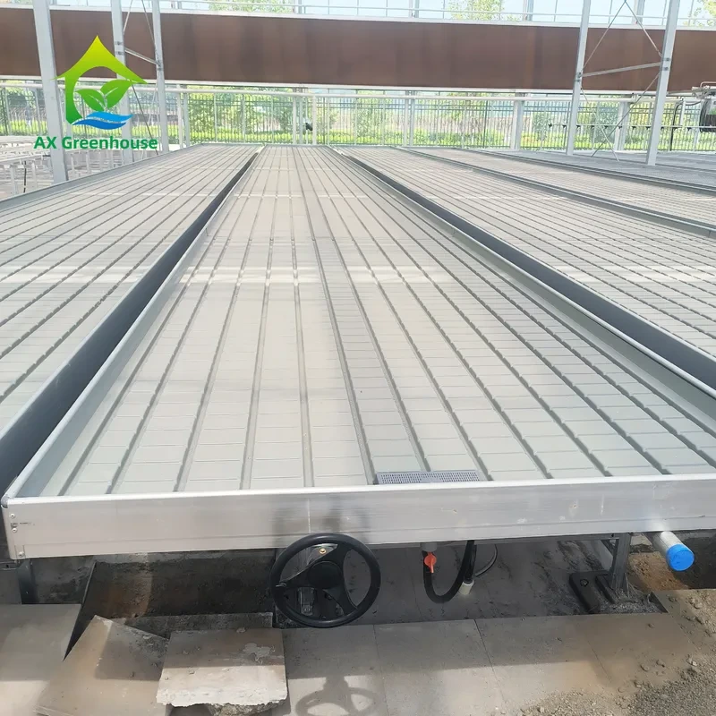 أحواض زراعة البذور بنظام المد والجزر، دفيئة زراعية، مقاعد متحركة، طاولة زراعة، زراعة داخلية 1