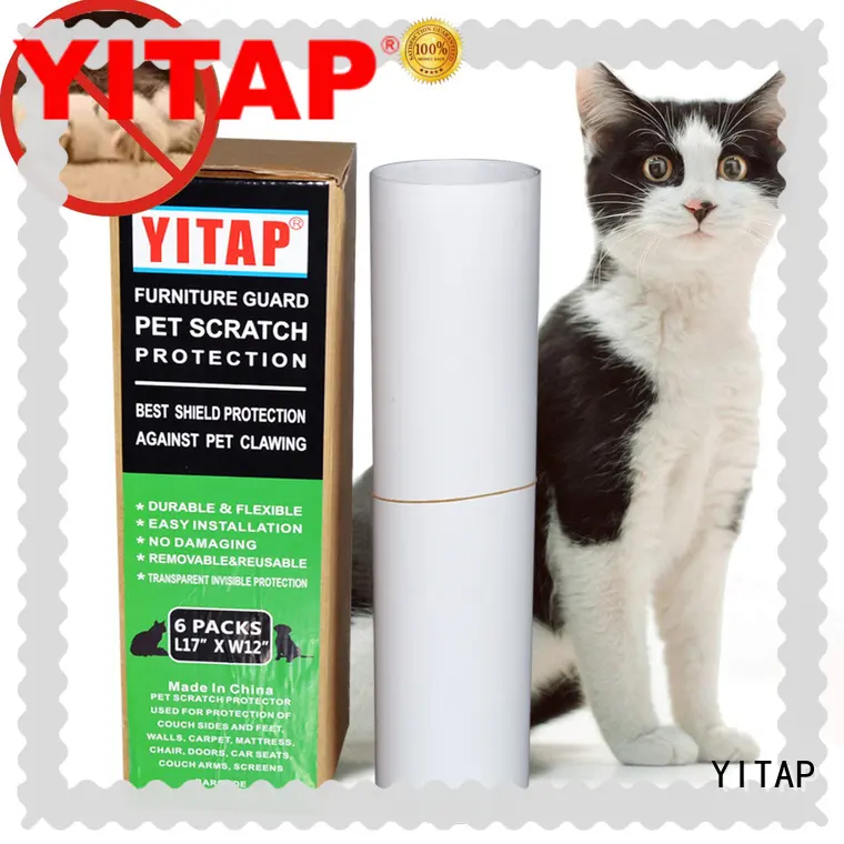 removable clear paint protection film production for glass 1