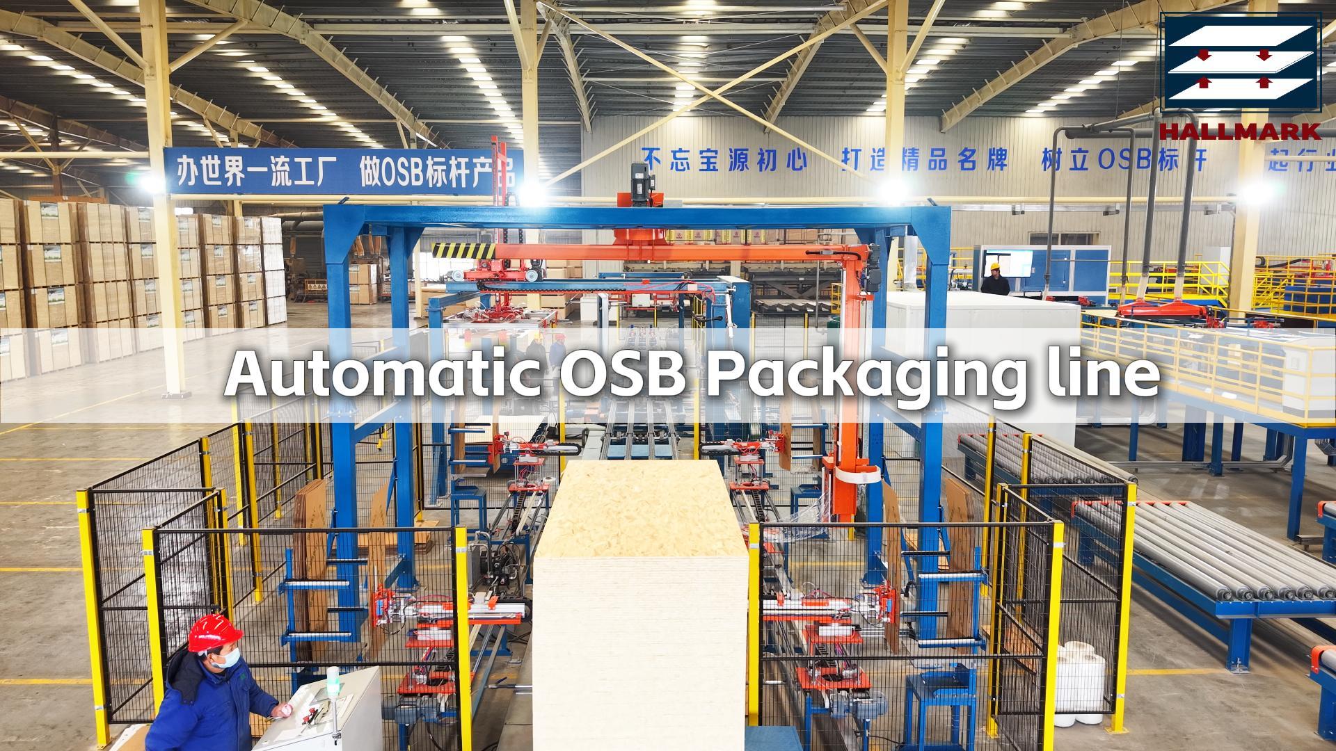 Automatic OSB(Oriented Strand Board) Packaging Line | HallMark