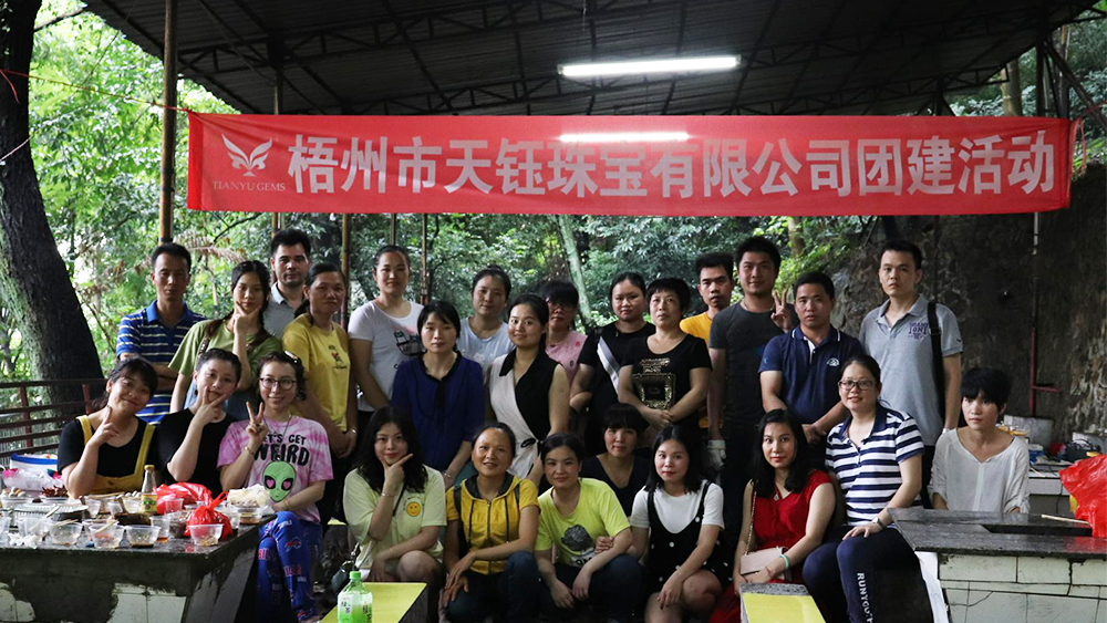 Walk Together, Draw Up The Blueprint Of Tianyu 3