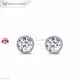 Lab Diamond Earrings for Women 1