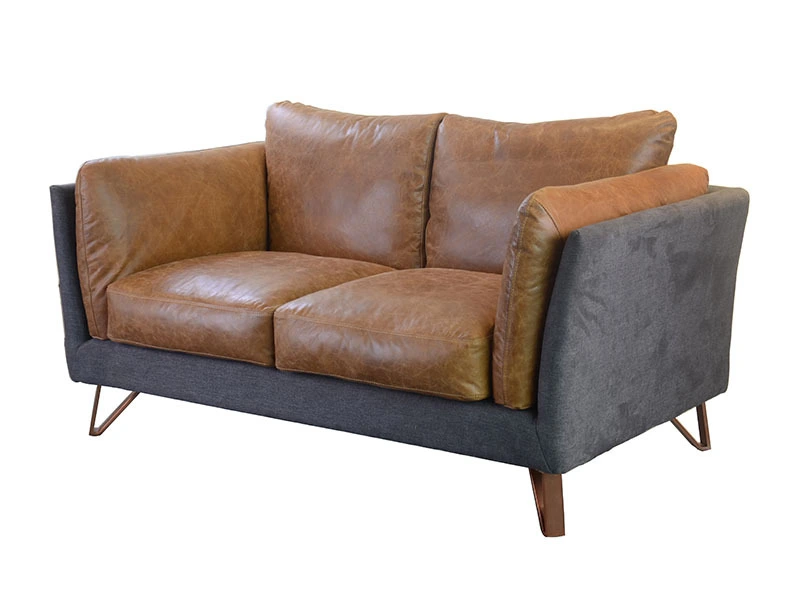 Luxury Metal Frame Leisure Living Room Leather Sofa 1