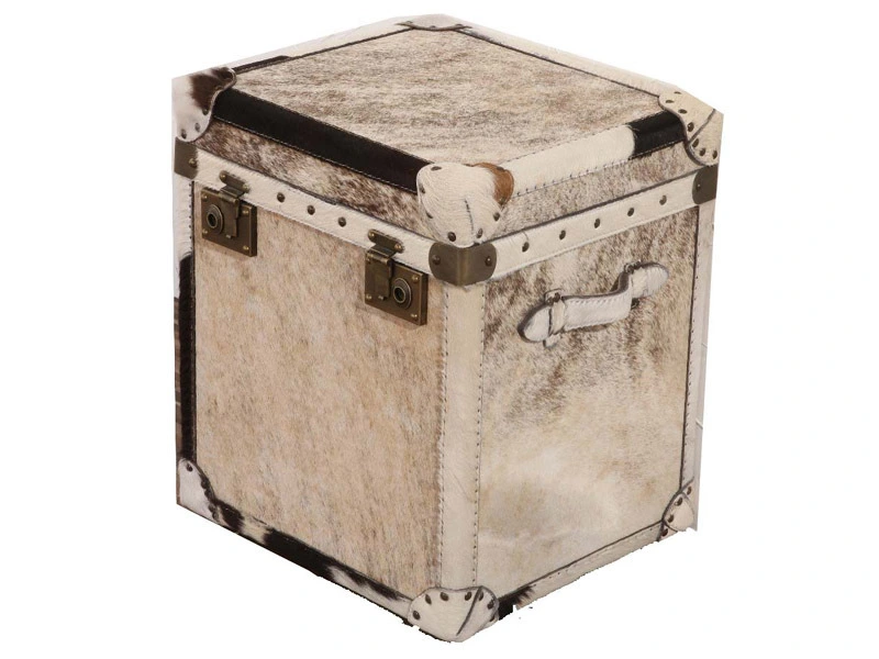 Cube Mayfair Steamer Trunk 1