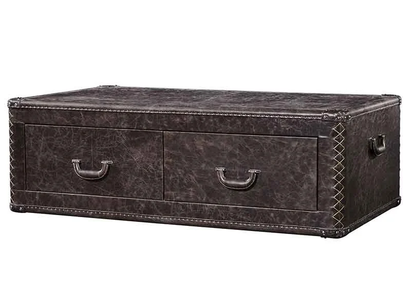 Trunk Coffee Table 1