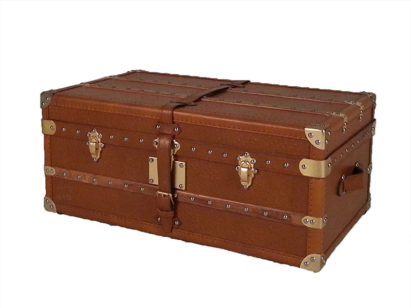 Vintage Living Room Trunk With Storage 1