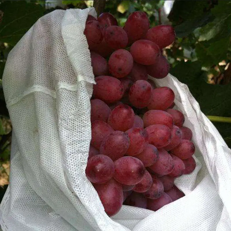 Best weed control fabric bulk company for storage 5