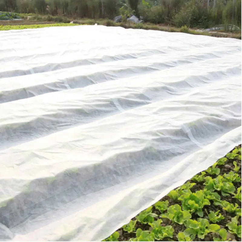 Anti-cold non-woven fabric 1