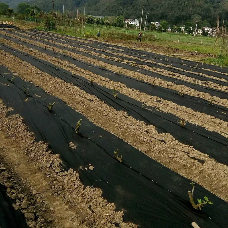 Ming Yu non woven fabric pots Supply 4