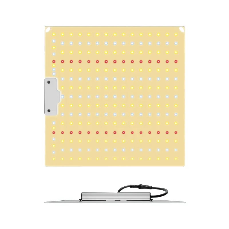 Top chemical protective clothing company for hospital 3