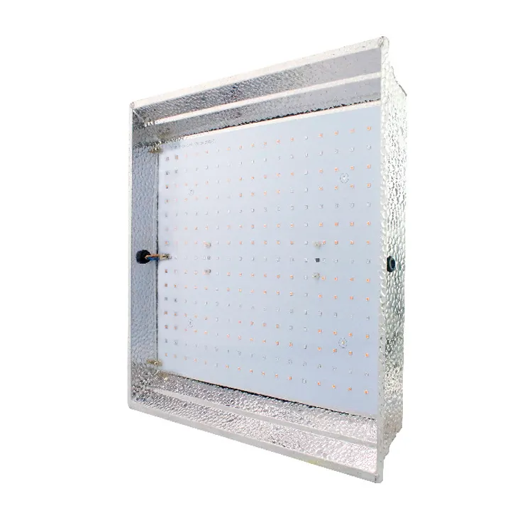 Ming Yu non woven seedling bags Supply 3