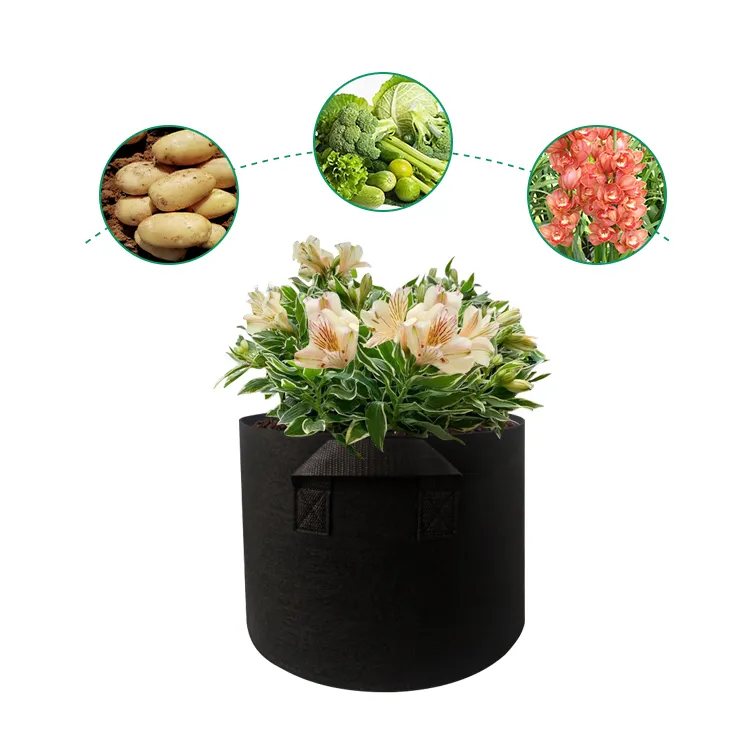 Ming Yu High-quality non-woven fabric manufacturing company 3