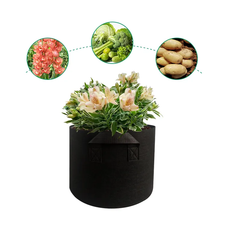 Ming Yu High-quality non-woven fabric manufacturing company 5