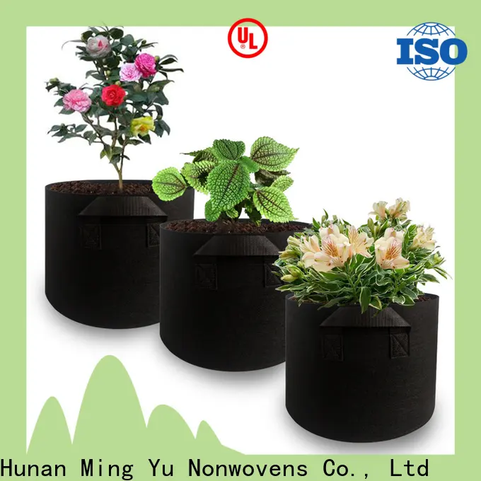 Ming Yu High-quality non-woven fabric manufacturing company 1