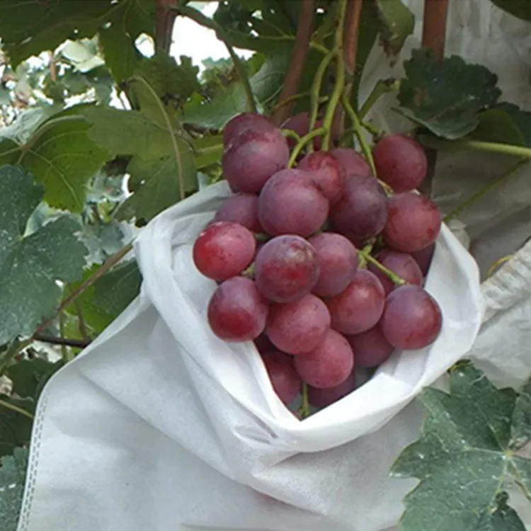 Ming Yu non-woven fabric manufacturing manufacturers11 3