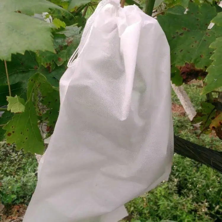 Ming Yu non-woven fabric manufacturing manufacturers11 2