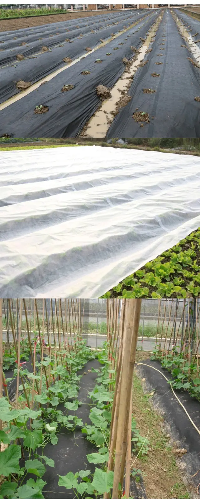 Ming Yu non woven fabric pots Suppliers 4