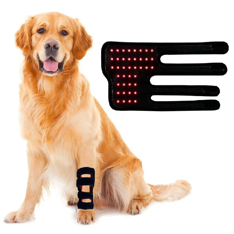 T030B Red Light Therapy Device for Pet Leg 1