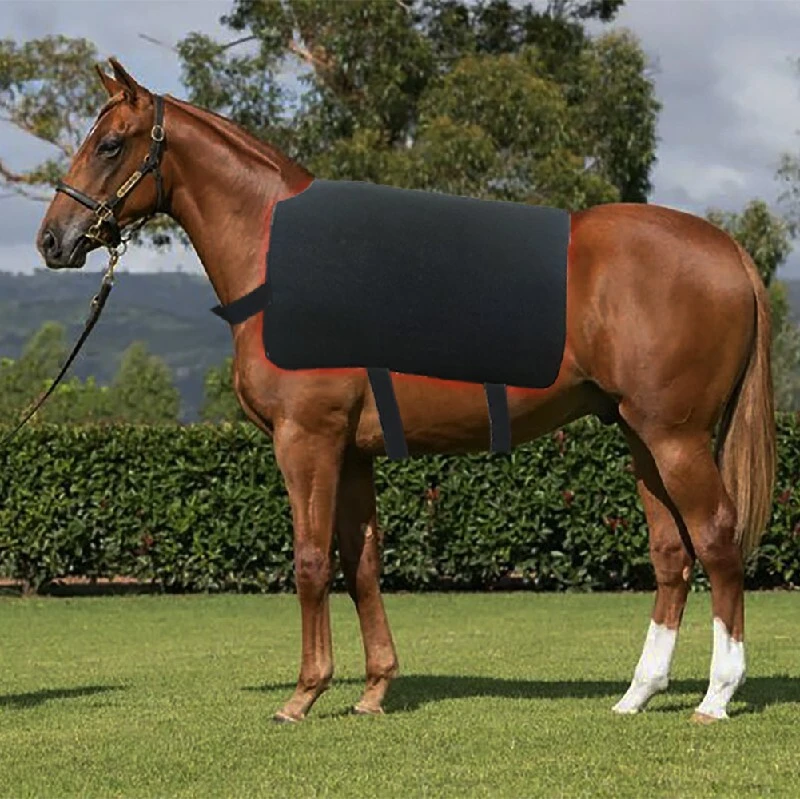 T500 Best Red Light Therapy for Horses Dual-Wavelength 1