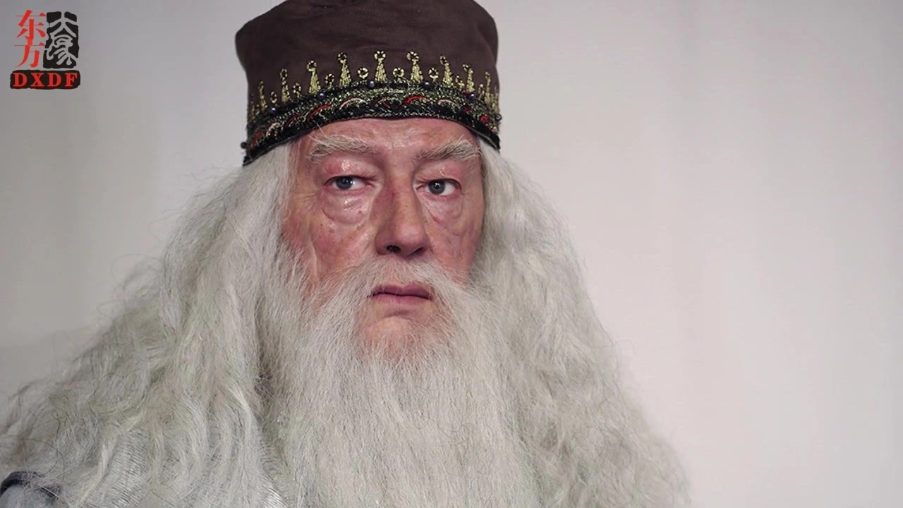 Realistic Lifelike Customize Wax Figures of Harry Potter's Character Dumbledore | DXDF, Grand Orient Wax Figure 1