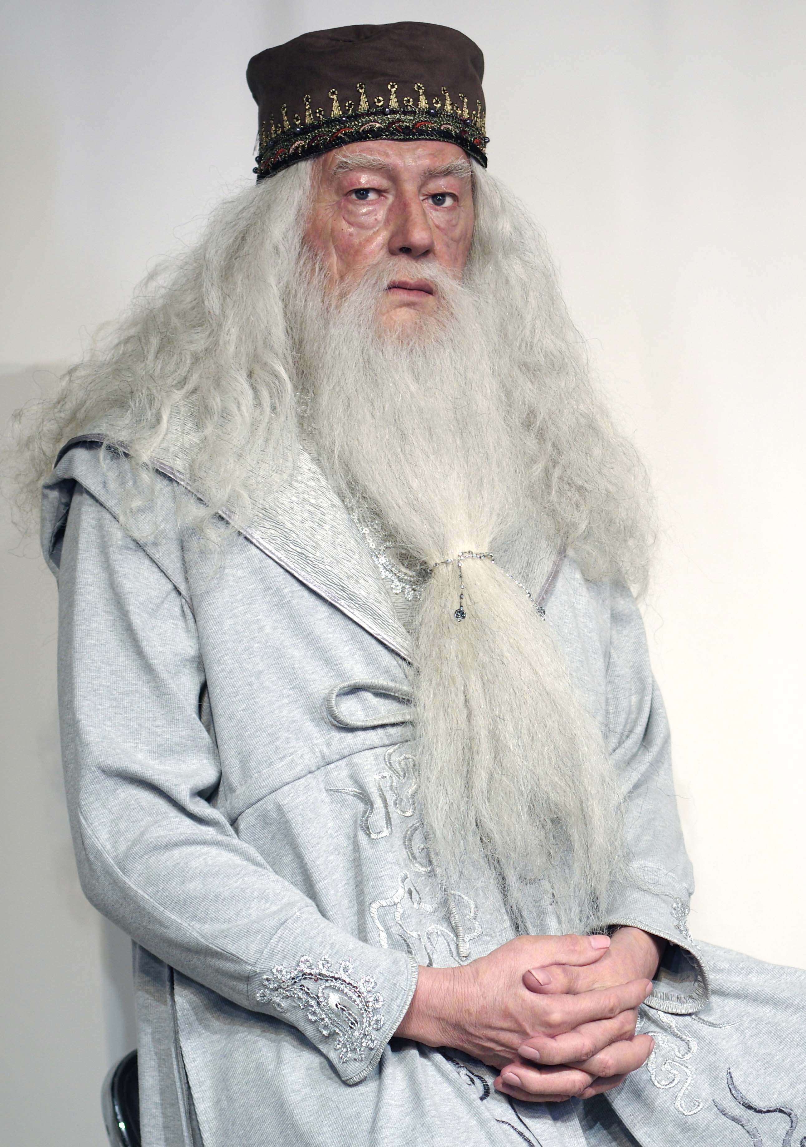 Realistic Lifelike Customize Wax Figures of Harry Potter's Character Dumbledore | DXDF, Grand Orient Wax Figure 3