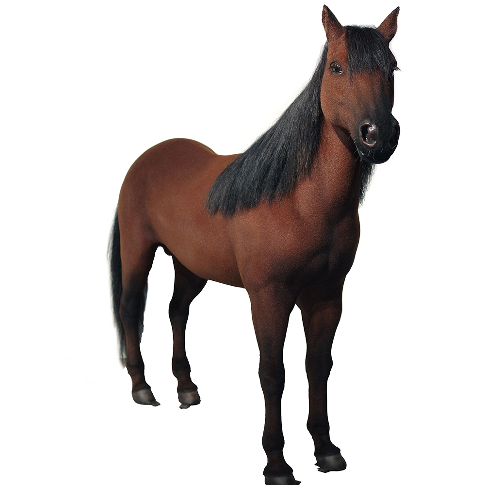 Best Customized Lifelike Realistic horse Sculpture Manufacturers From China | DXDF，Grand Orient Wax Figure 1