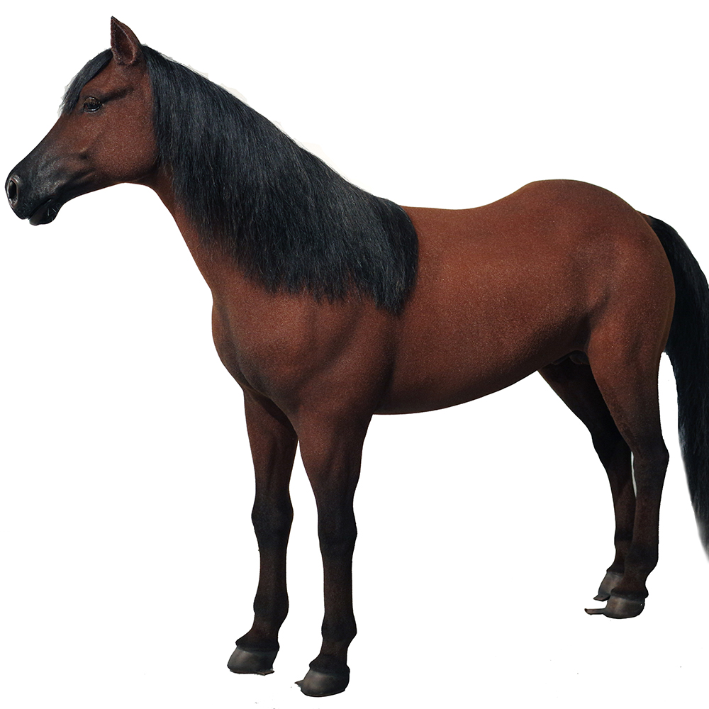 Best Customized Lifelike Realistic horse Sculpture Manufacturers From China | DXDF，Grand Orient Wax Figure 9
