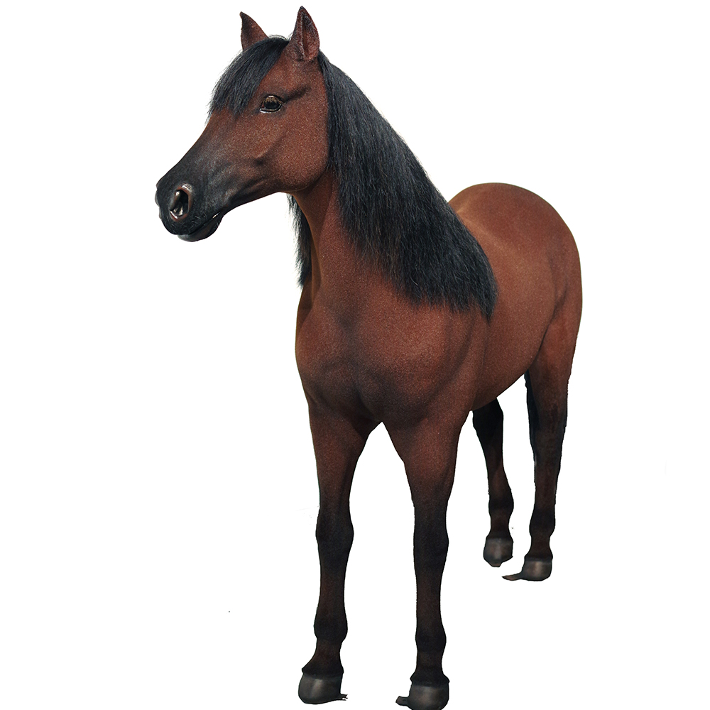 Best Customized Lifelike Realistic horse Sculpture Manufacturers From China | DXDF，Grand Orient Wax Figure 11