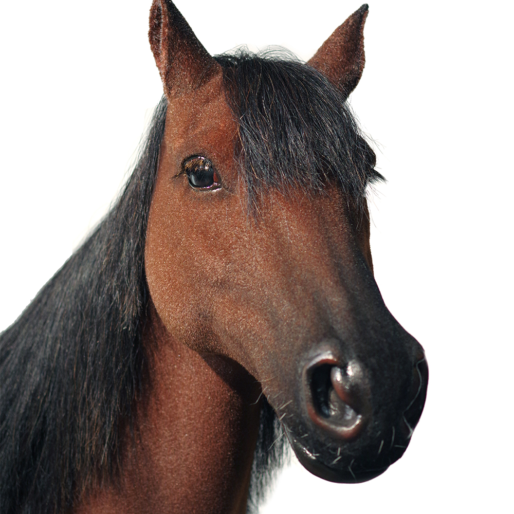 Best Customized Lifelike Realistic horse Sculpture Manufacturers From China | DXDF，Grand Orient Wax Figure 8