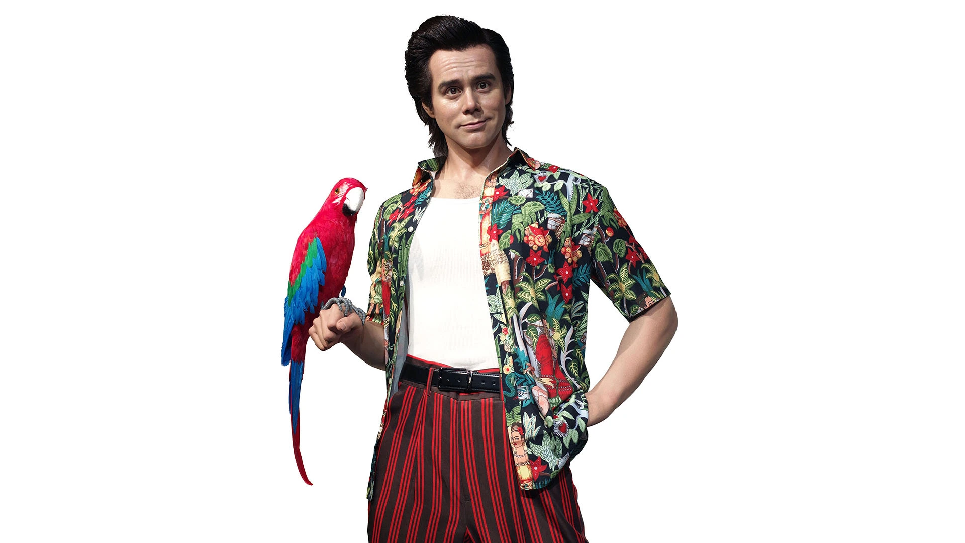 Realistic Wax Mannequin of Famous Hollystar Jim Carrey | DXDF, Grand Orient Wax Figure 1