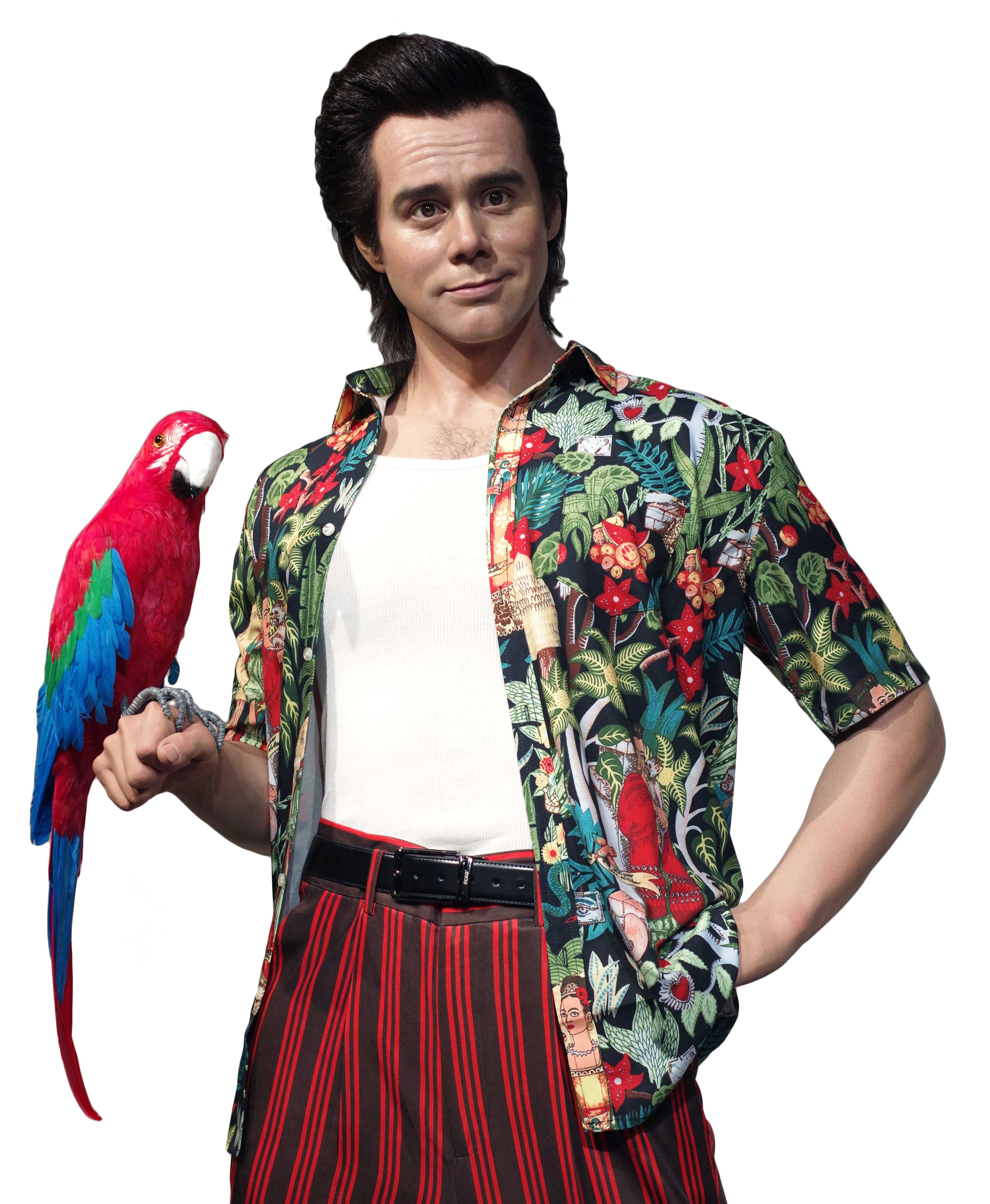 Realistic Wax Mannequin of Famous Hollystar Jim Carrey | DXDF, Grand Orient Wax Figure 2