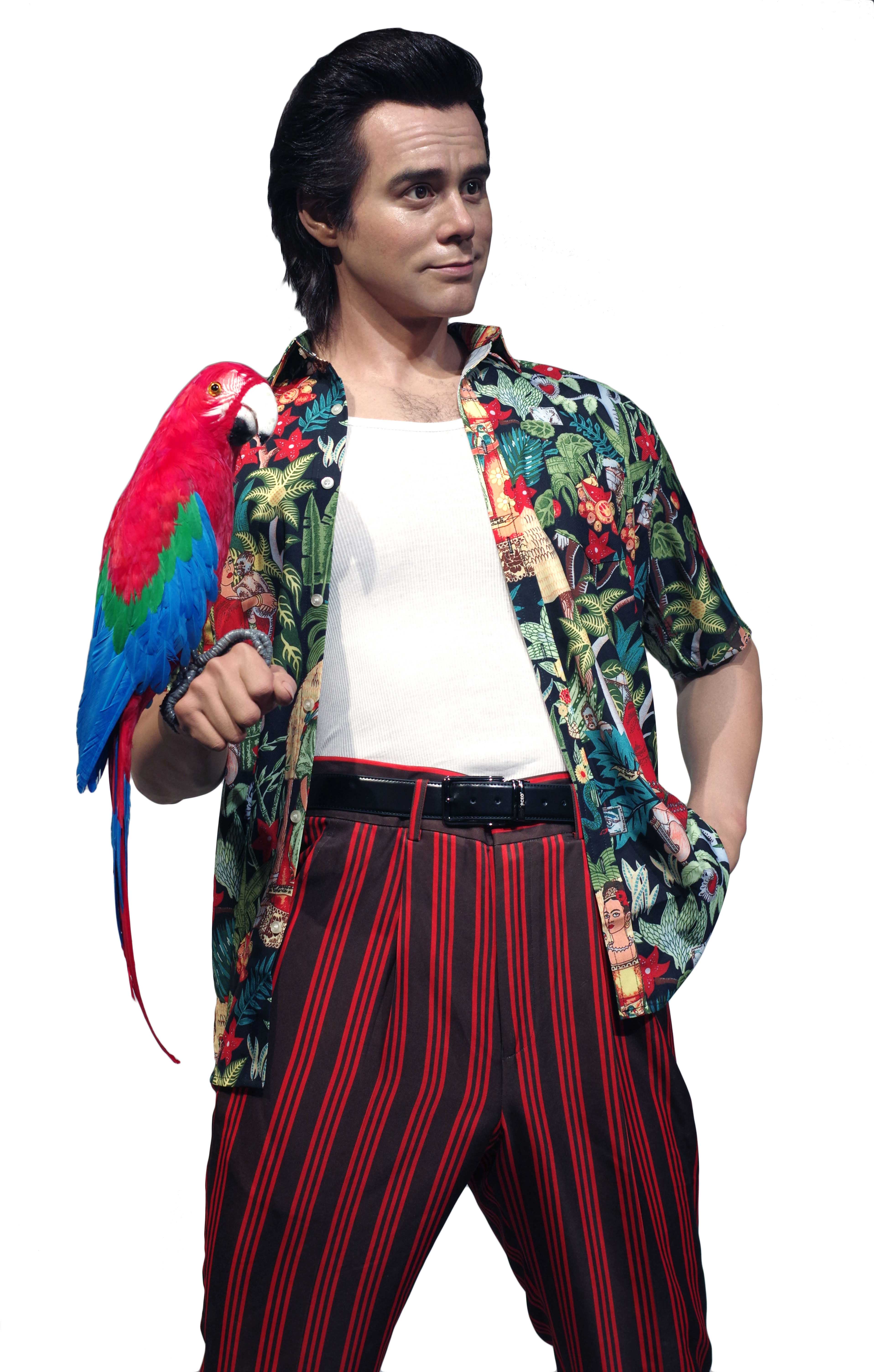 Realistic Wax Mannequin of Famous Hollystar Jim Carrey | DXDF, Grand Orient Wax Figure 3