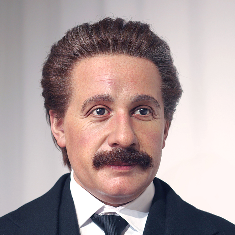 Life Size Albert Einstein Wax Figure: Celebrate The Scientific Legend With Museum Collection  - Grand Orient Wax Figure 8