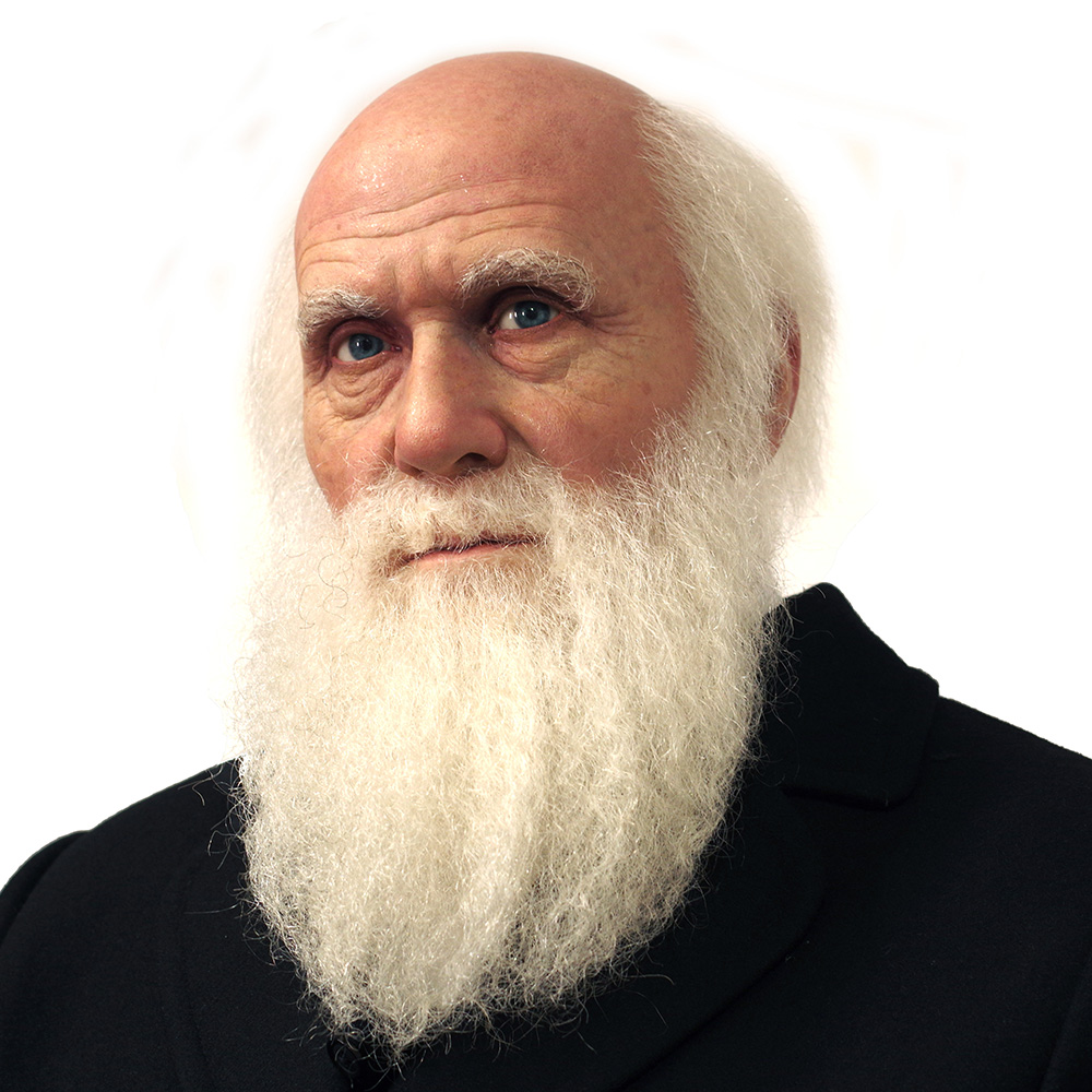 Treasure Darwin: Life Size Sculpture Capturing the Essence of  Extraordinary Biologist - DXDF,Grand Orient Wax Sculpture 9