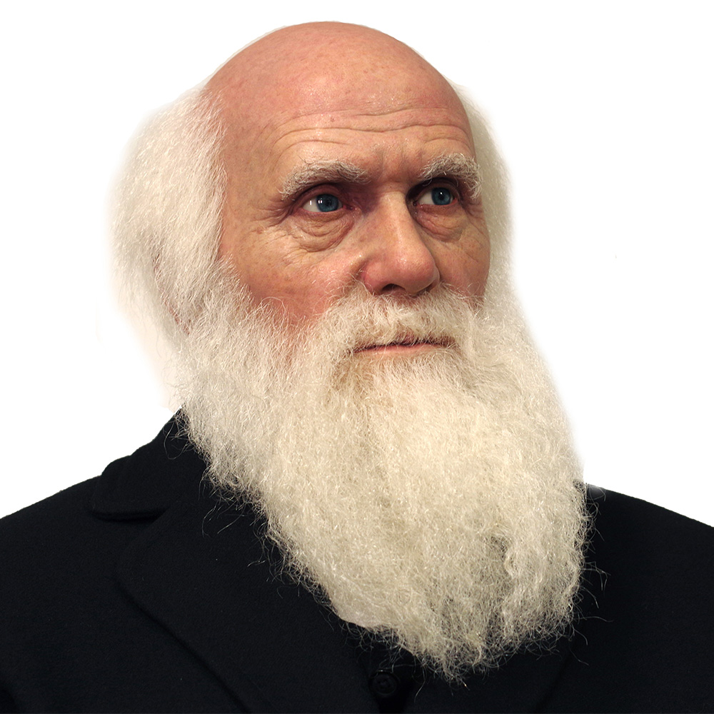Treasure Darwin: Life Size Sculpture Capturing the Essence of  Extraordinary Biologist - DXDF,Grand Orient Wax Sculpture 8