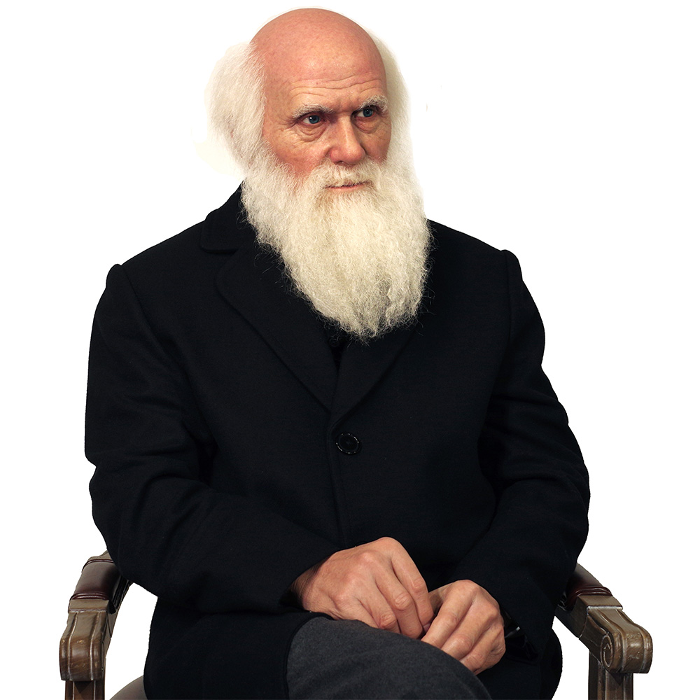 Treasure Darwin: Life Size Sculpture Capturing the Essence of  Extraordinary Biologist - DXDF,Grand Orient Wax Sculpture 10