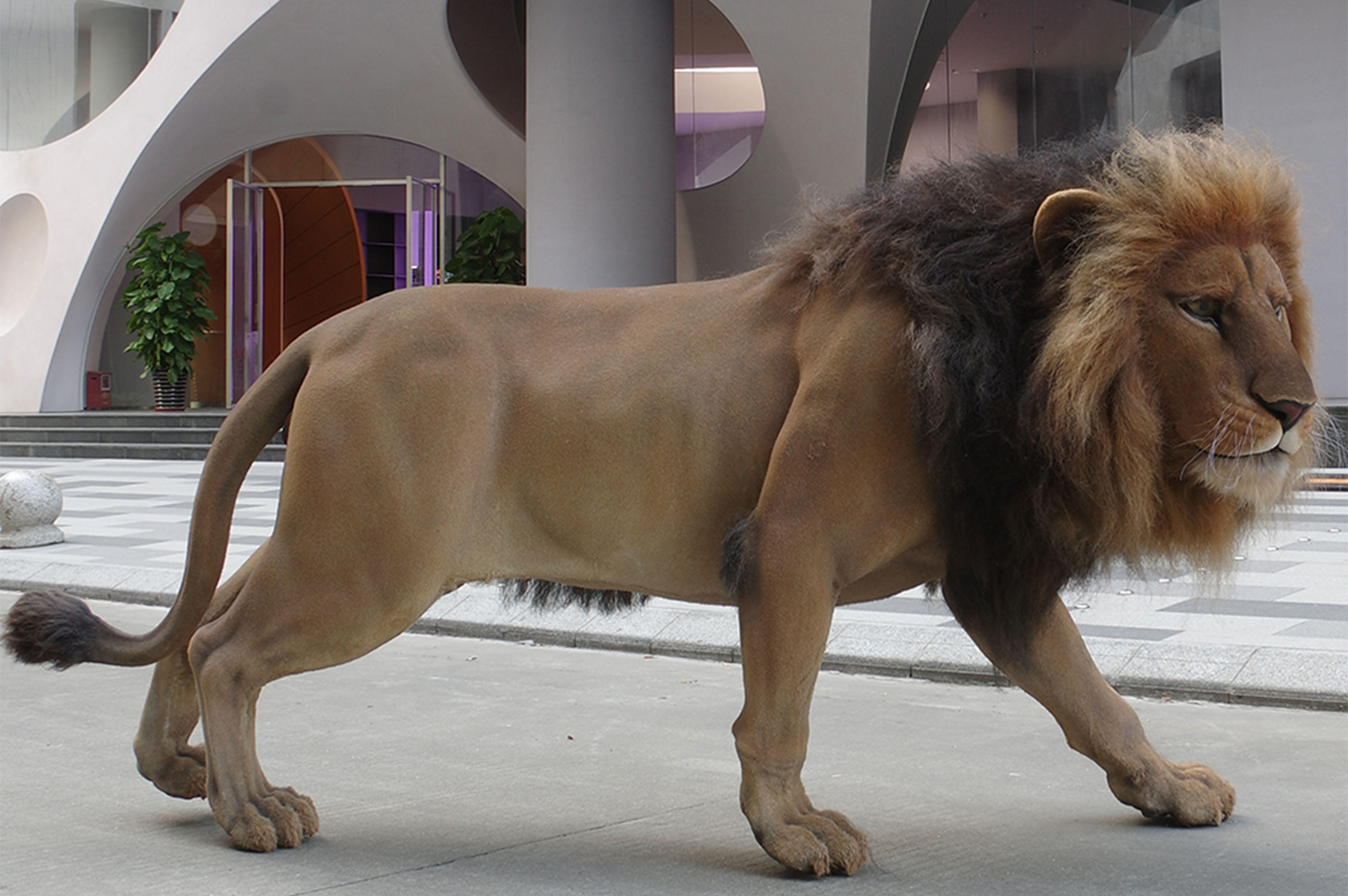 Wax Figure Suppliers for Special Events: Adding Life to Your Exhibitions and Parties 2