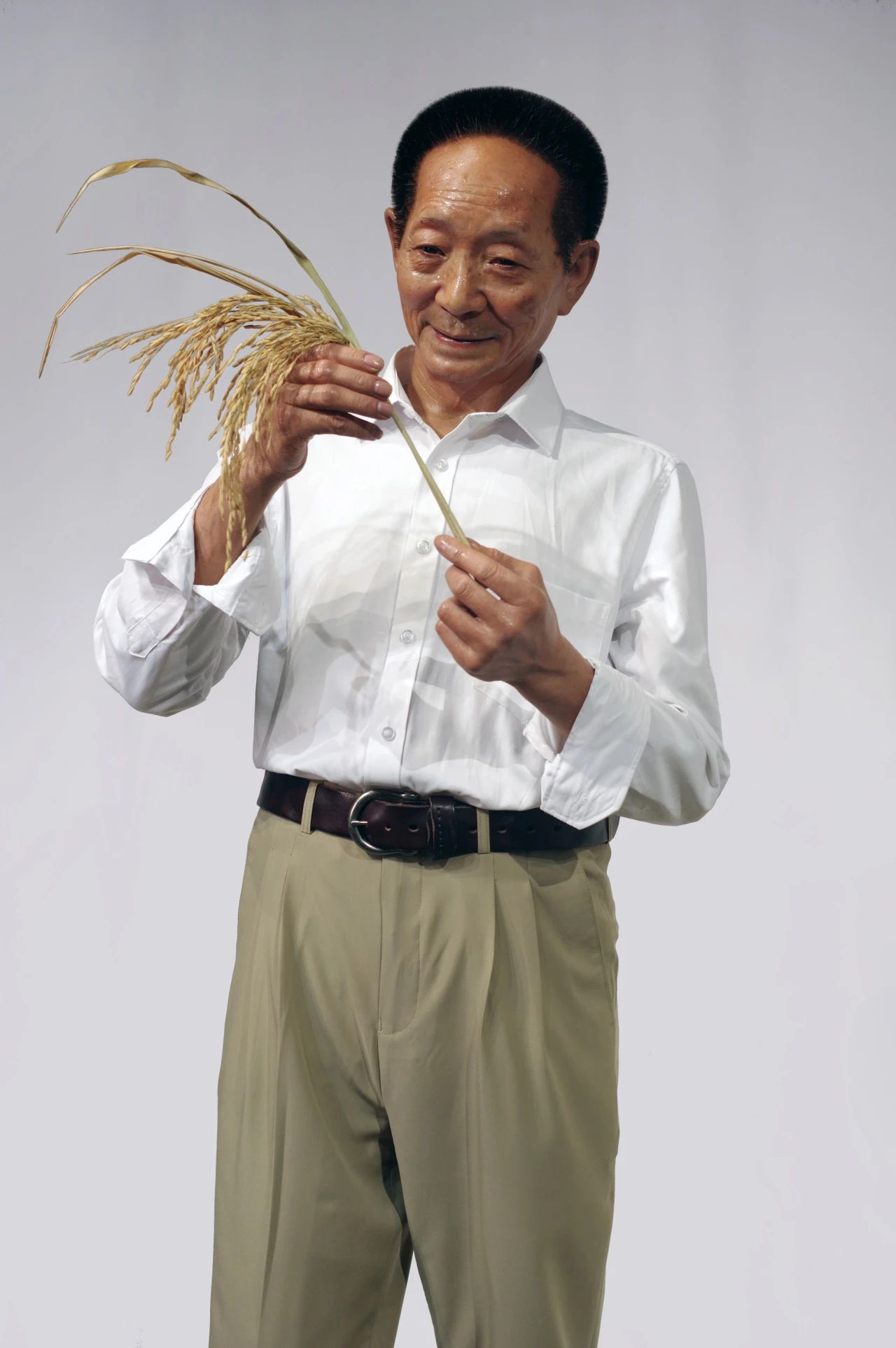 World Food Day | The rice fields are still green, and I think of him again| DXDF，Grand Orient Wax Figure 10