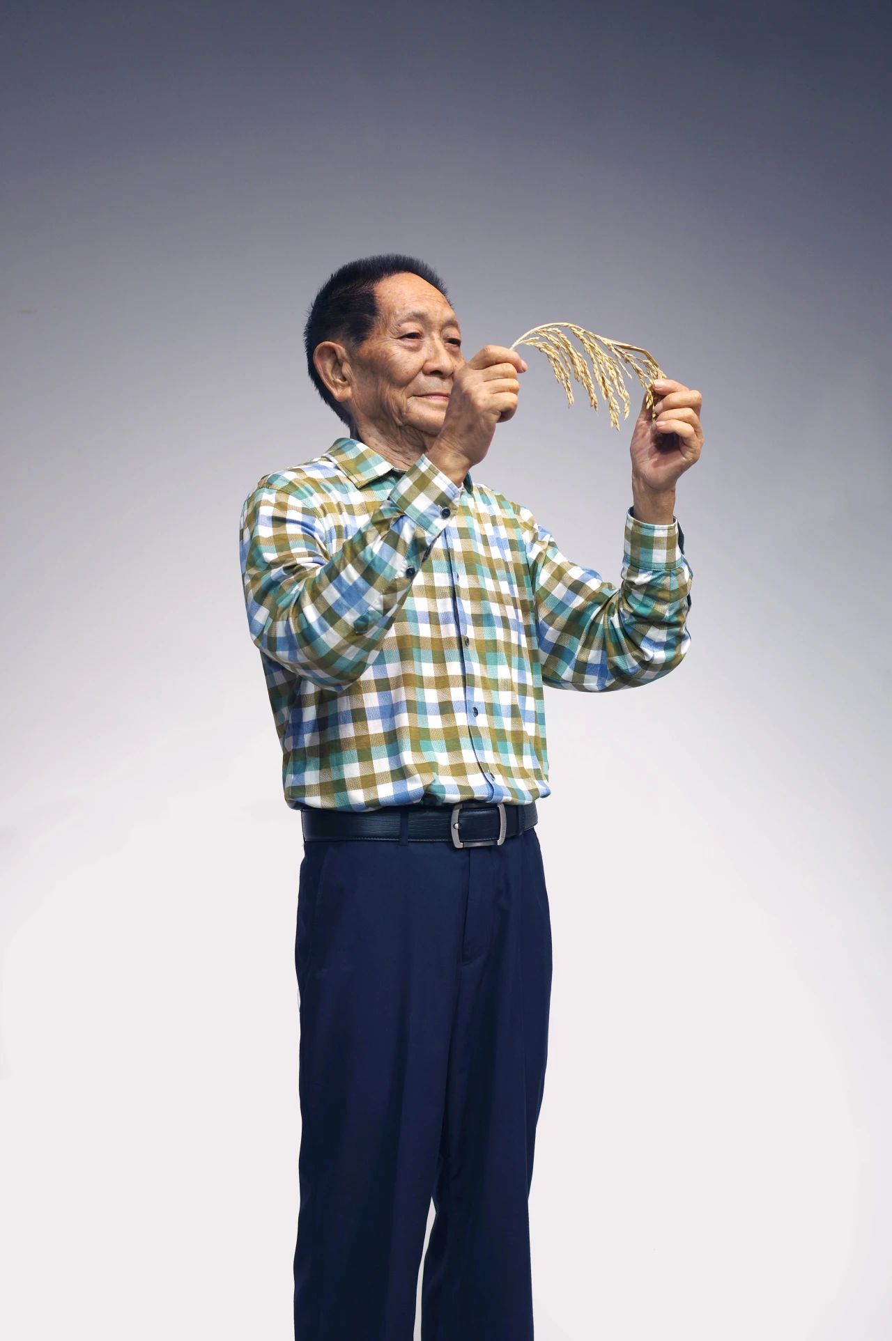 World Food Day | The rice fields are still green, and I think of him again| DXDF，Grand Orient Wax Figure 8