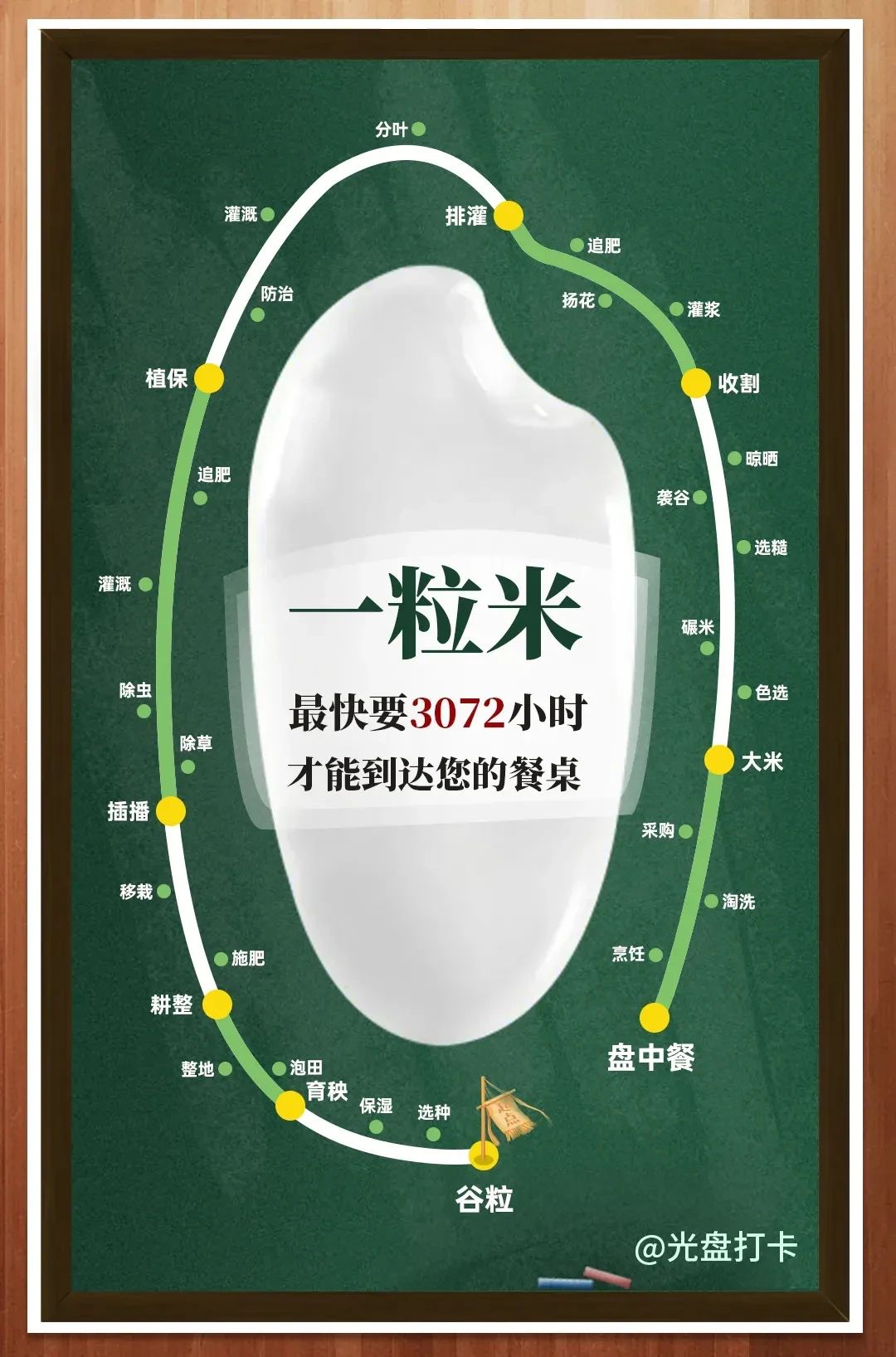 World Food Day | The rice fields are still green, and I think of him again| DXDF，Grand Orient Wax Figure 11